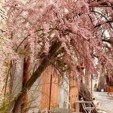 Brin De Nature Au Coeur De La Nature Bugiste *